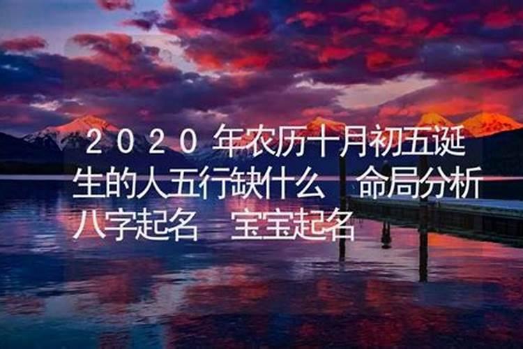 2020年农历十月十三出生的人命运怎么样