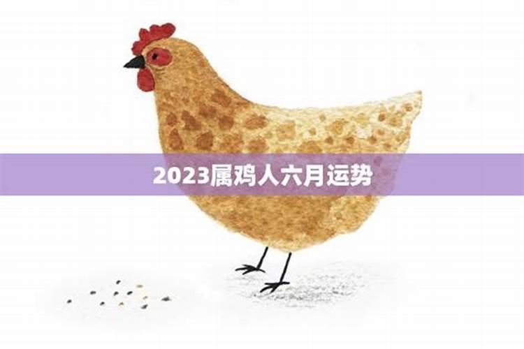 今年肖鸡财运和命运