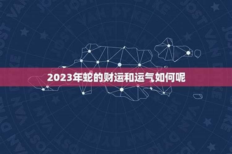 蛇的运势2023年运程如何