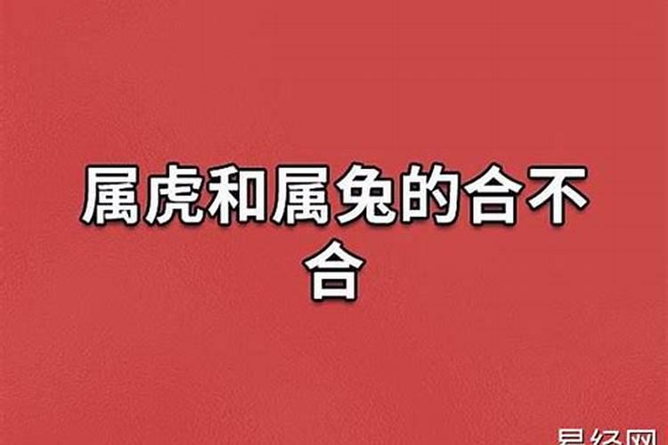 男牛女兔八字合吗