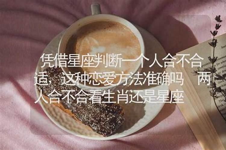 两个人合不合适只看星座吗很准吗