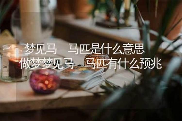 梦见马什么意思周公解梦