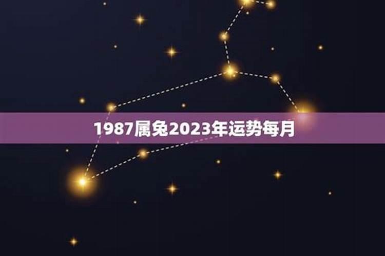 87年属兔的2023年