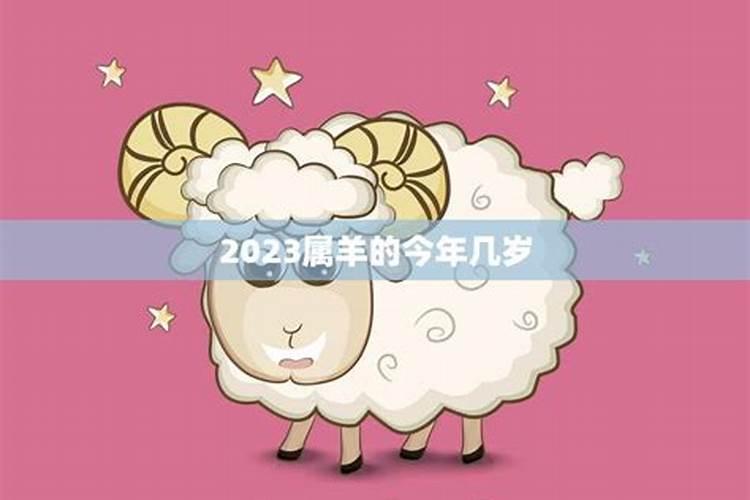 2023年属羊的年龄是多少啊男生