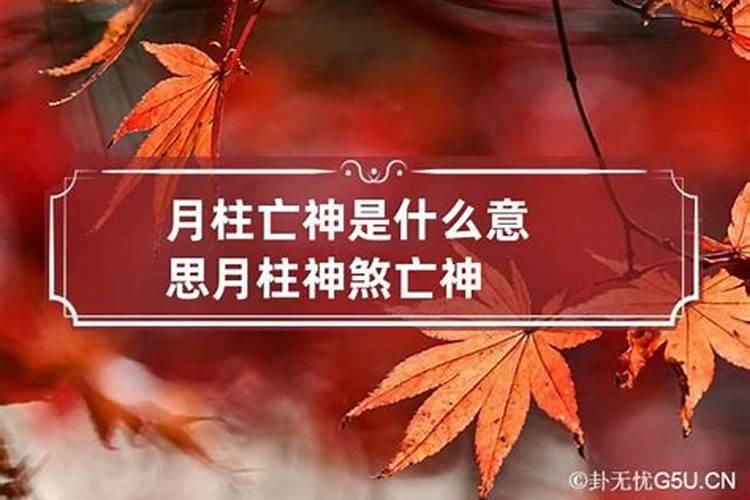 月柱带桃花煞好吗