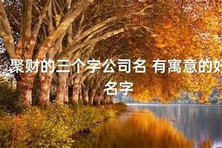 比较旺财的公司名称