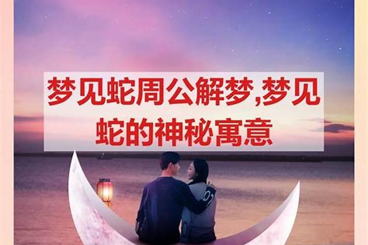 梦见蛇袭击自己寓意着什么呢周公解梦