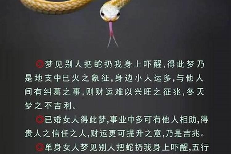 梦见蛇袭击自己寓意着什么呢周公解梦