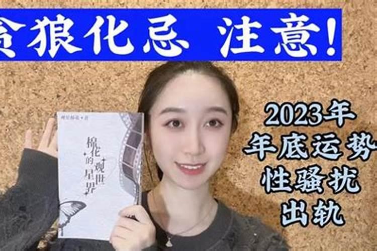 紫微贪狼2023年运势怎么样