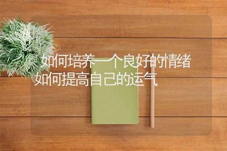 梦到摘瓜秧上的瓜