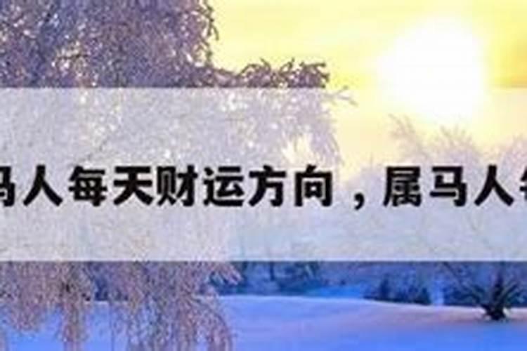 属马在鼠年运势怎么样