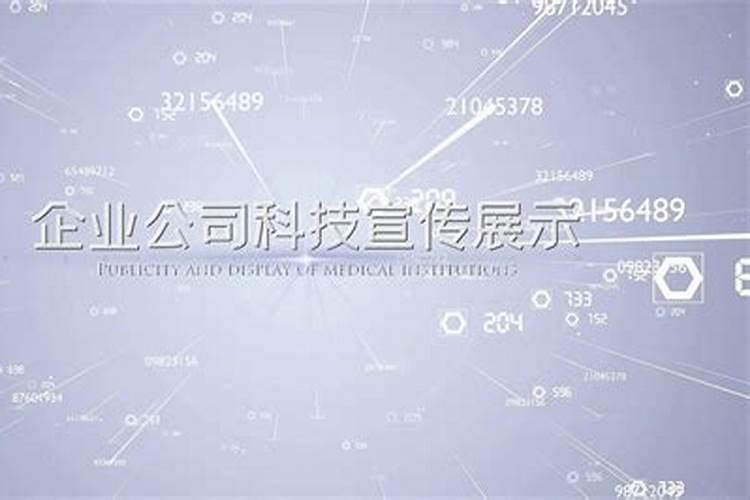 数字科技公司名字