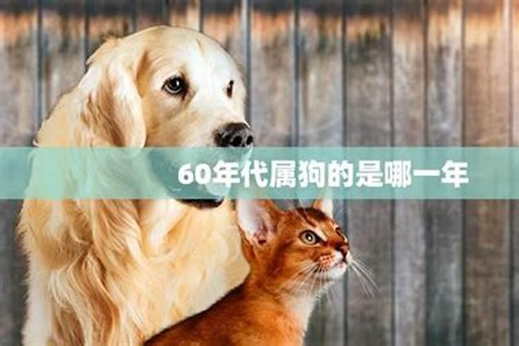 60后属狗的是多少年？