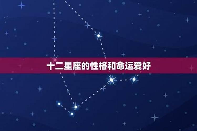 十二星座的爱好和特点？