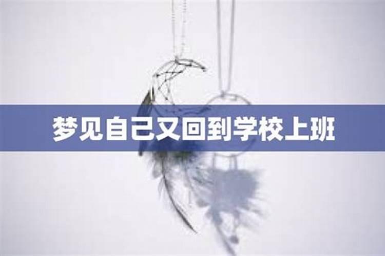 梦到自己又回到学校