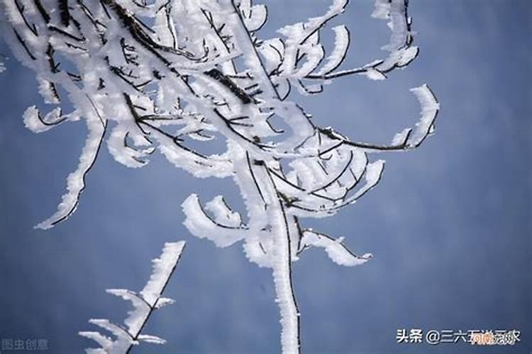 冬天梦见下雪是什么预兆？