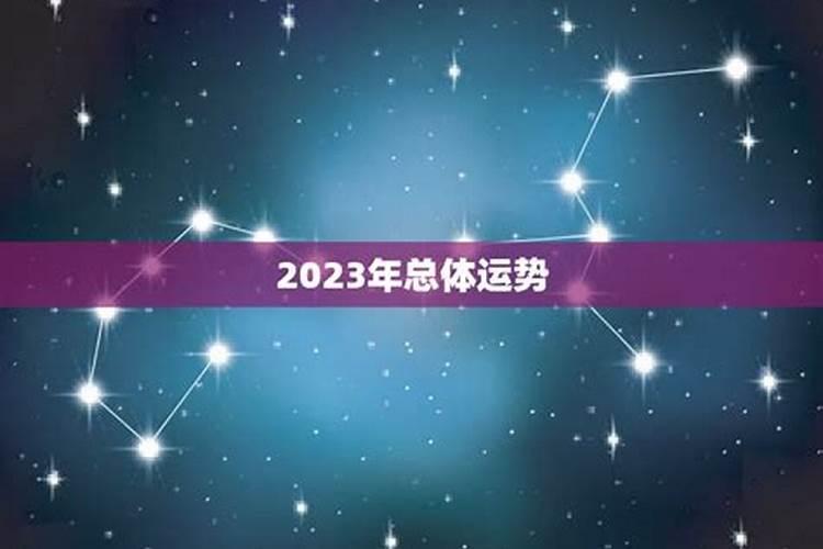 生肖蛇2025年运势运程