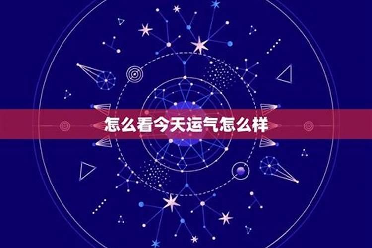 冬至星座运势