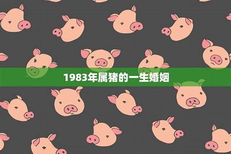 1983年属猪一生命运运势