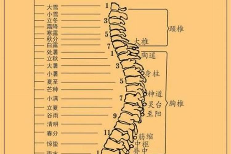 易卜居2024年运程算命