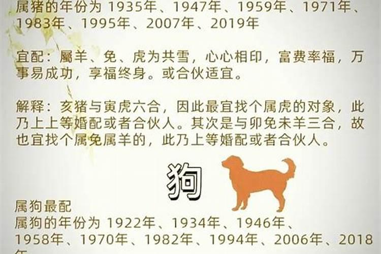 83猪与83猪配婚姻好不好