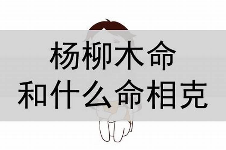 木命和什么命相克？