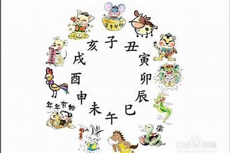 八字在十二生肖中属什么？