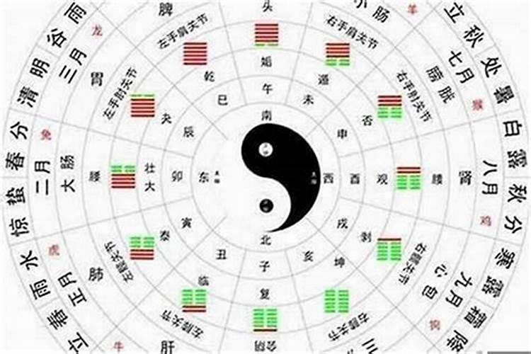 星座怎么分金木水火土？