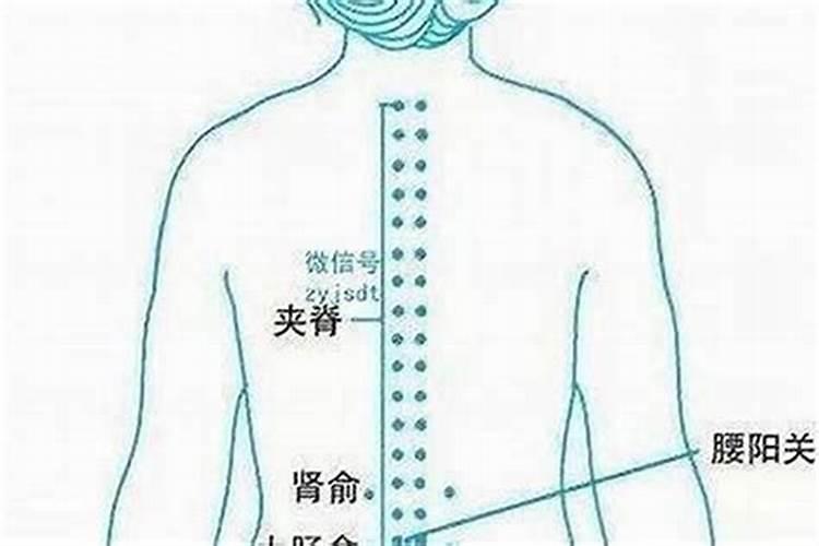 人丁兴旺的风水穴位特点？