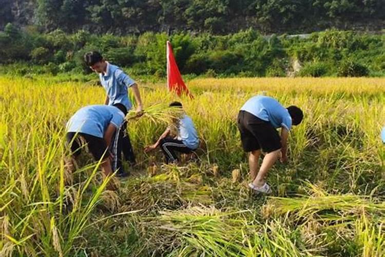 梦见前男友有女朋友了还来找我复合什么意思