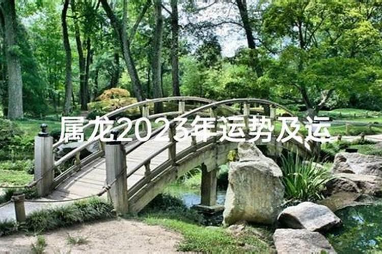 属龙2023年运势运程每月运程