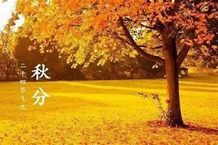 今年的秋分节是几月几日