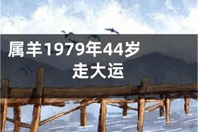 79年的羊2023年运势及运程