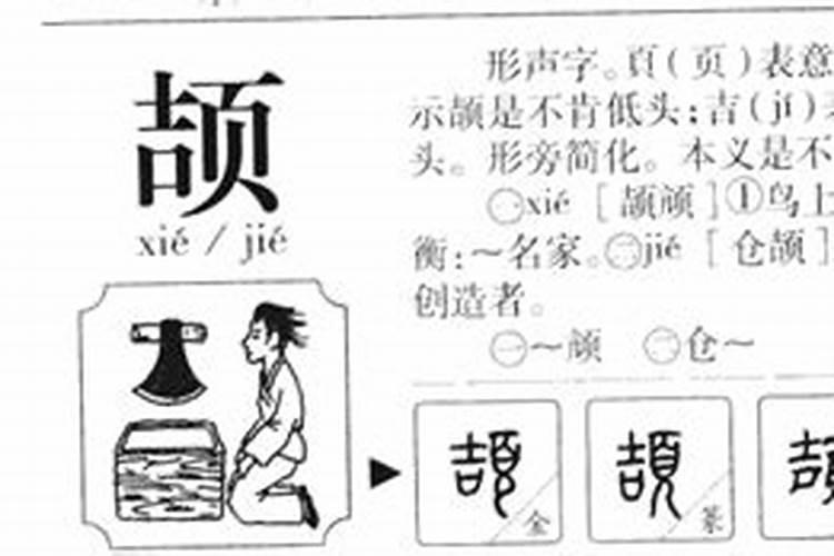 颉字五行属什么？