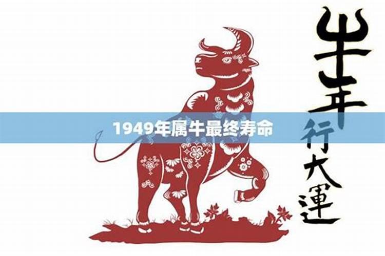 1961年属牛的命运