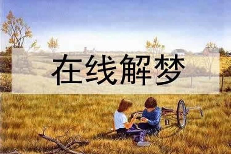 梦到回到了家