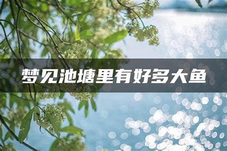 梦见湖水清澈有很多鱼游来游去