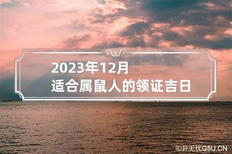 2023年12月领证的好日子