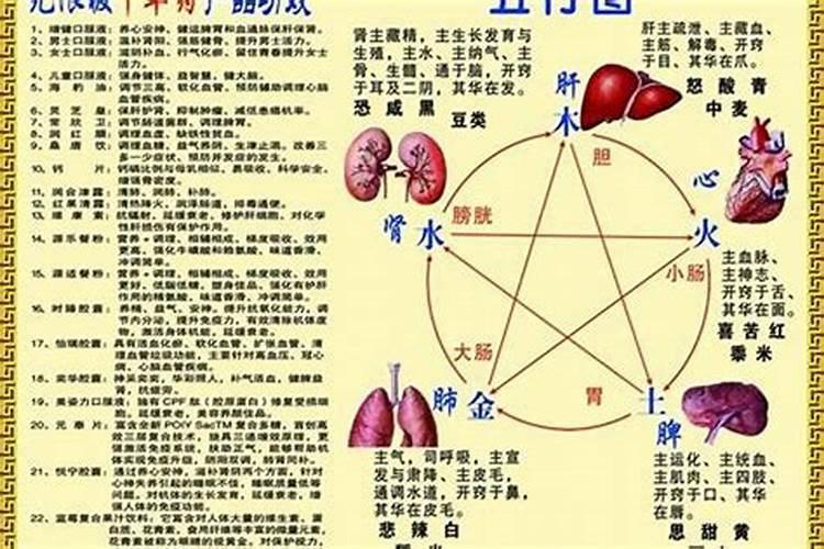 2014年什么命年？