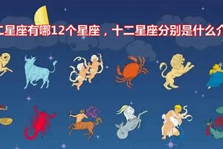 12星座是什么鱼？