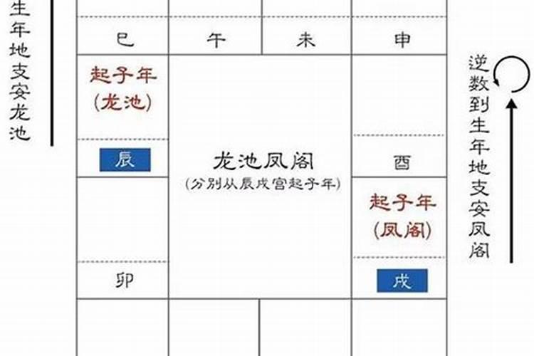 八字和紫薇哪个算婚姻准一点