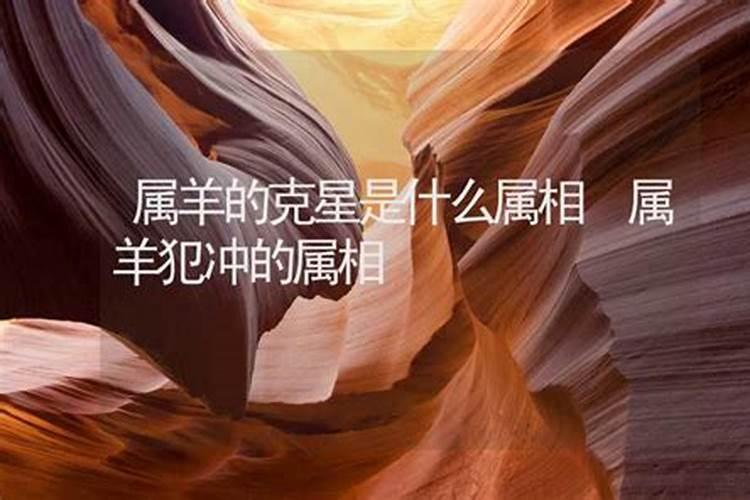 属羊的克星是什么属相？