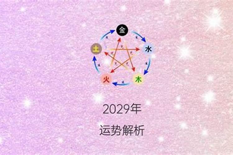 2029年是什么命？