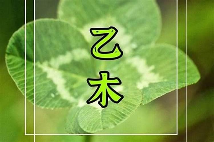 乙木日主的命理特点