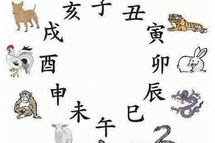 八字丑酉属什么合