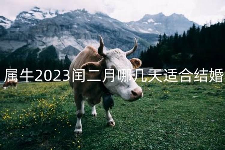 2023年二月哪天适宜结婚？