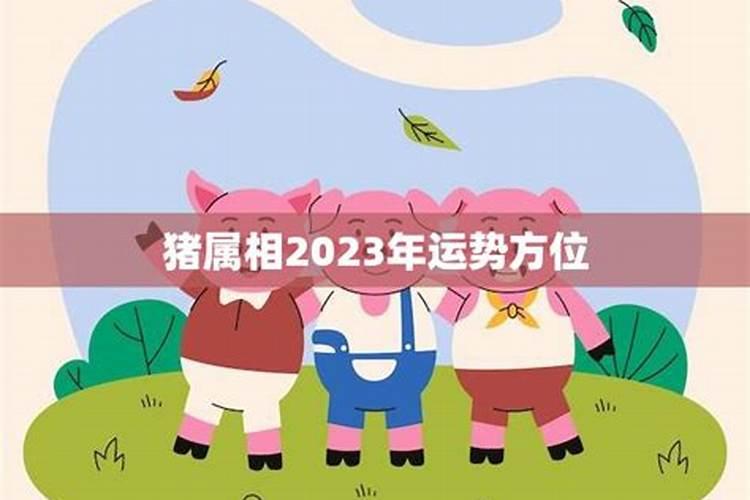 属猪生肖2023年运程