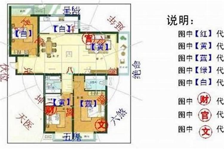 青岛风水五行属什么