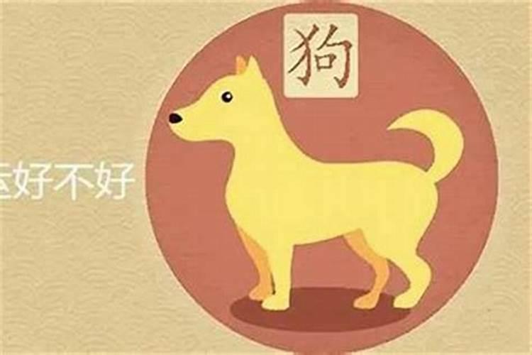 明年狗年是什么命？