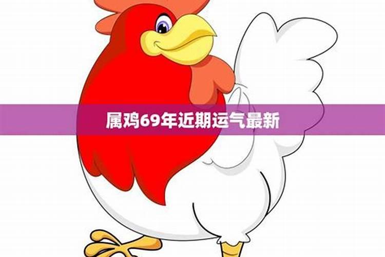 2023属鸡的运势运程如何看？